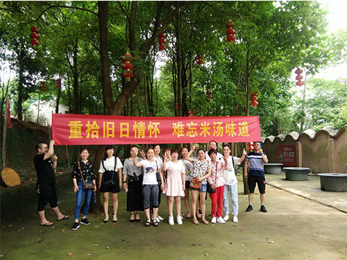 技术指导
